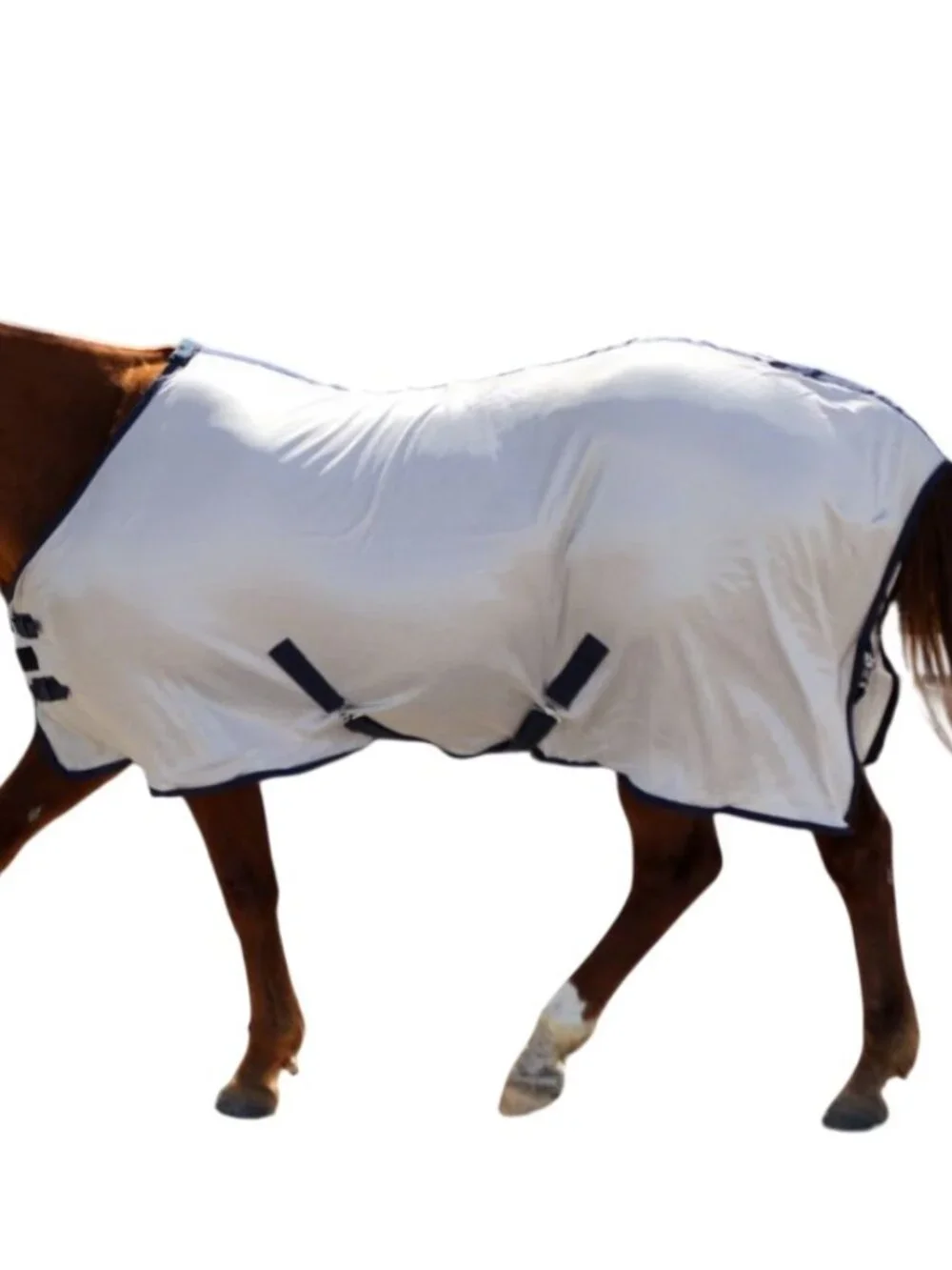 NEW RUGGED RIDE Soft Mesh Standard Neck Horse Fly Sheet with Leg Straps size 75 - Picture 4 of 5